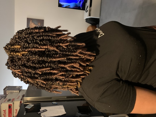salon de coiffure afro tresse tresses box braids crochet braids vanilles tissages paris 75 77 78 91 92 93 94 95 IZVMQAWE