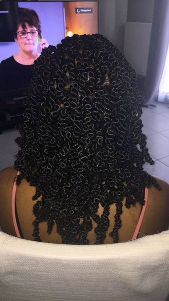 salon de coiffure afro tresse tresses box braids crochet braids vanilles tissages paris 75 77 78 91 92 93 94 95 NUKXYWOA