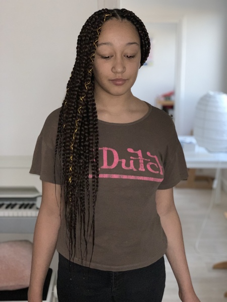 salon de coiffure afro tresse tresses box braids crochet braids vanilles tissages paris 75 77 78 91 92 93 94 95 EIFUGDDG