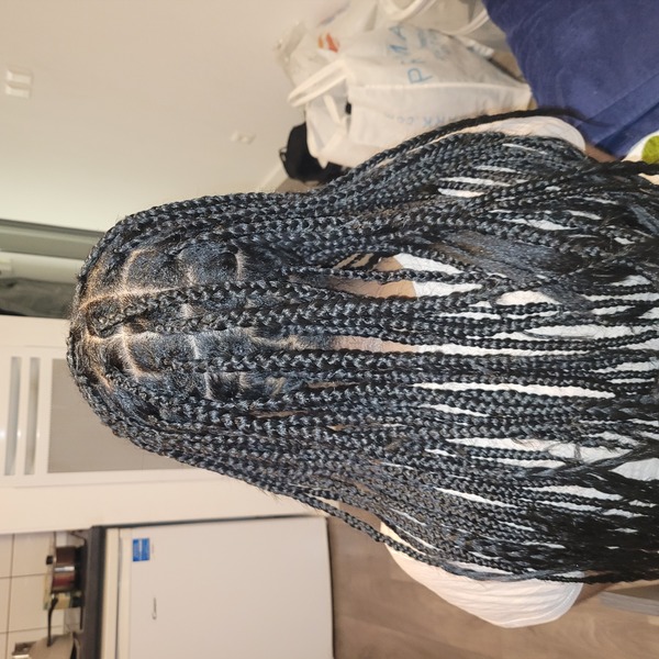 salon de coiffure afro tresse tresses box braids crochet braids vanilles tissages paris 75 77 78 91 92 93 94 95 ZTMEELJX