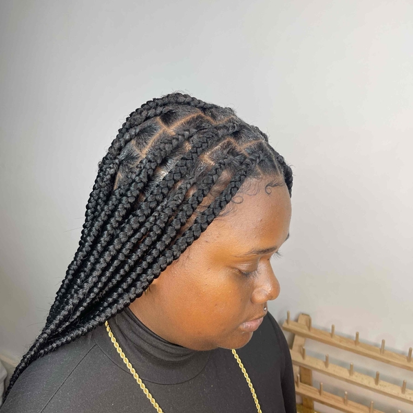 salon de coiffure afro tresse tresses box braids crochet braids vanilles tissages paris 75 77 78 91 92 93 94 95 VUAWHUVG