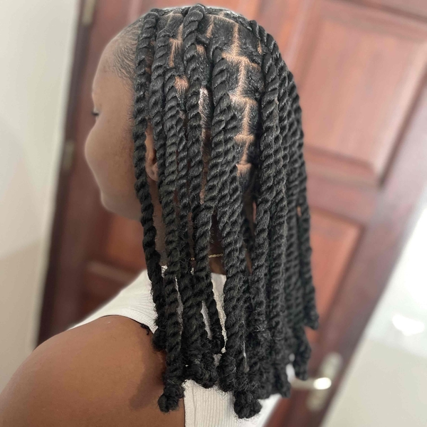 salon de coiffure afro tresse tresses box braids crochet braids vanilles tissages paris 75 77 78 91 92 93 94 95 LCLNRSLE