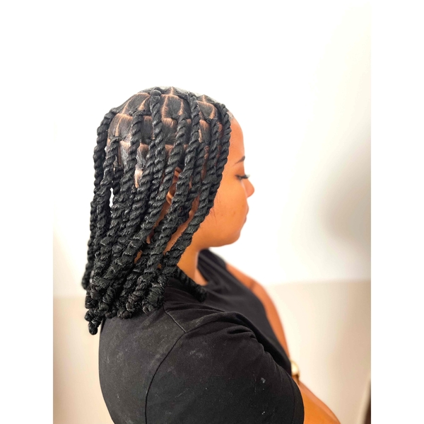salon de coiffure afro tresse tresses box braids crochet braids vanilles tissages paris 75 77 78 91 92 93 94 95 KITZPTDQ