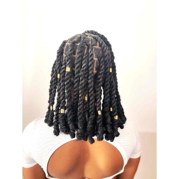 salon de coiffure afro tresse tresses box braids crochet braids vanilles tissages paris 75 77 78 91 92 93 94 95 KOXGFBQY