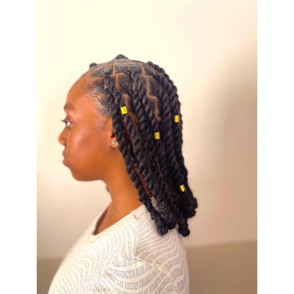 salon de coiffure afro tresse tresses box braids crochet braids vanilles tissages paris 75 77 78 91 92 93 94 95 FXYUNPJS