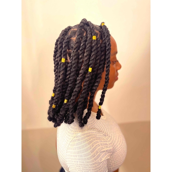salon de coiffure afro tresse tresses box braids crochet braids vanilles tissages paris 75 77 78 91 92 93 94 95 NBNIHVPF