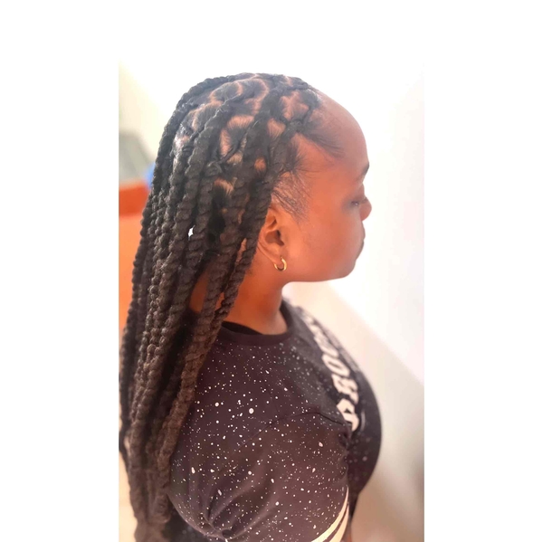 salon de coiffure afro tresse tresses box braids crochet braids vanilles tissages paris 75 77 78 91 92 93 94 95 MLZVUIPH