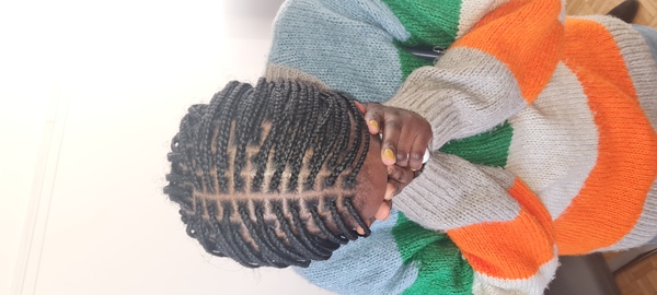 salon de coiffure afro tresse tresses box braids crochet braids vanilles tissages paris 75 77 78 91 92 93 94 95 SMXUDJSH