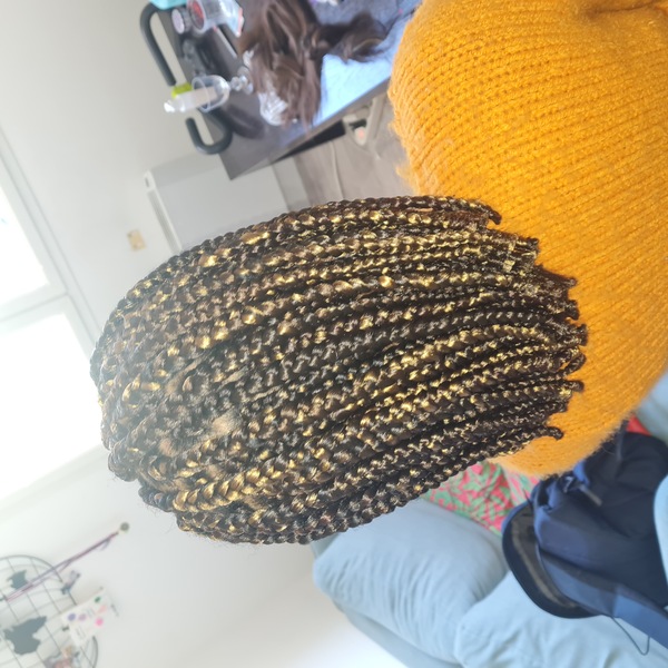 salon de coiffure afro tresse tresses box braids crochet braids vanilles tissages paris 75 77 78 91 92 93 94 95 TCNQRVTE