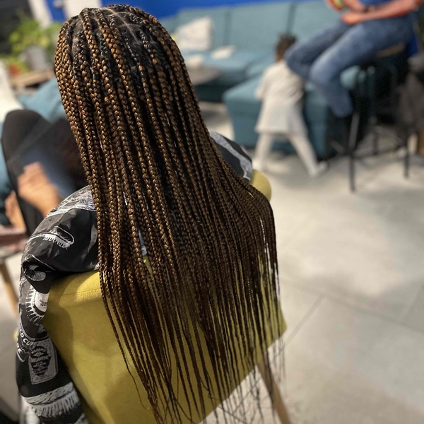 salon de coiffure afro tresse tresses box braids crochet braids vanilles tissages paris 75 77 78 91 92 93 94 95 LTRWVYXW