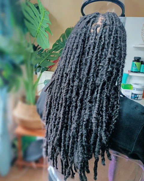 salon de coiffure afro tresse tresses box braids crochet braids vanilles tissages paris 75 77 78 91 92 93 94 95 APUSXGMR