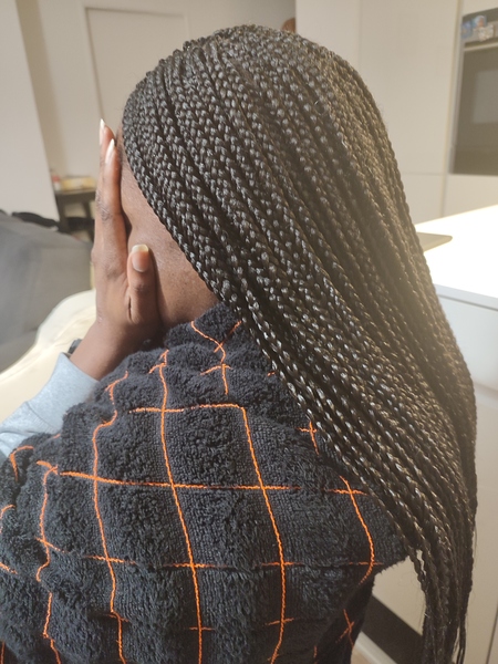 salon de coiffure afro tresse tresses box braids crochet braids vanilles tissages paris 75 77 78 91 92 93 94 95 BTNRJXFI