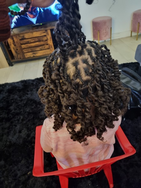 salon de coiffure afro tresse tresses box braids crochet braids vanilles tissages paris 75 77 78 91 92 93 94 95 VSAAHHTK