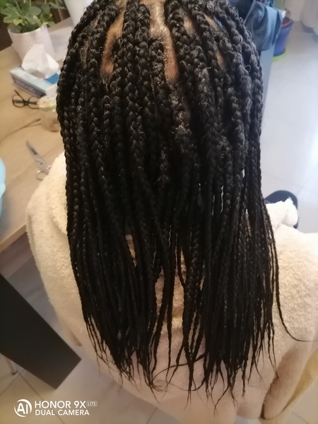 salon de coiffure afro tresse tresses box braids crochet braids vanilles tissages paris 75 77 78 91 92 93 94 95 PTSNAYMW