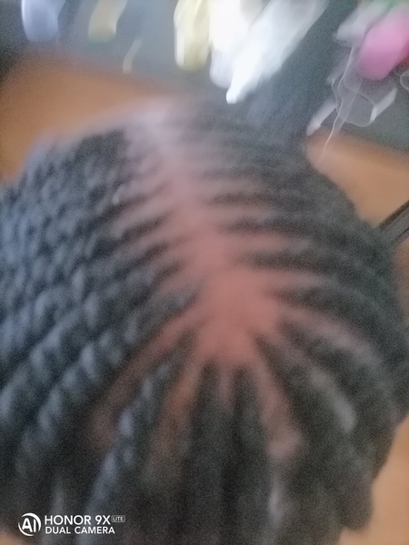salon de coiffure afro tresse tresses box braids crochet braids vanilles tissages paris 75 77 78 91 92 93 94 95 IPYFTPUR