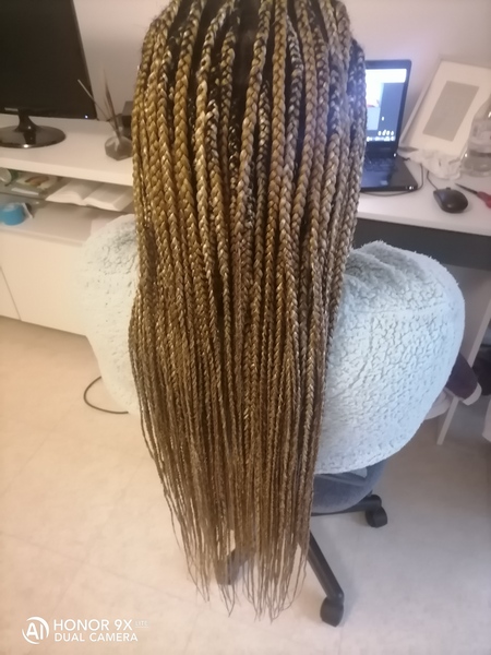 salon de coiffure afro tresse tresses box braids crochet braids vanilles tissages paris 75 77 78 91 92 93 94 95 NGMWXHNG