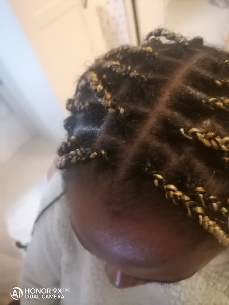 salon de coiffure afro tresse tresses box braids crochet braids vanilles tissages paris 75 77 78 91 92 93 94 95 VCGKEHYS