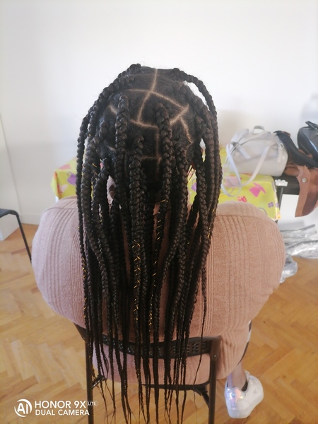 salon de coiffure afro tresse tresses box braids crochet braids vanilles tissages paris 75 77 78 91 92 93 94 95 GQXLLHFZ