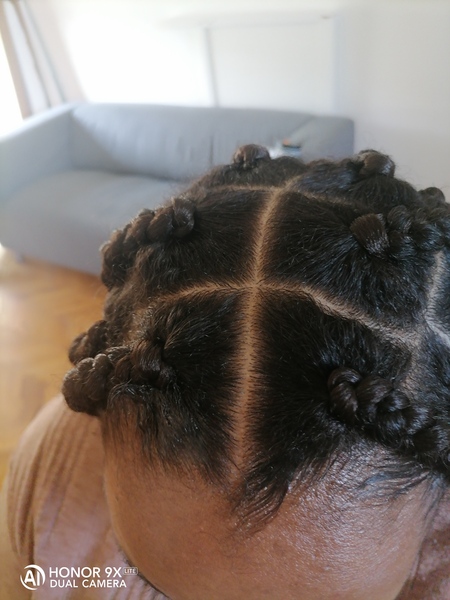 salon de coiffure afro tresse tresses box braids crochet braids vanilles tissages paris 75 77 78 91 92 93 94 95 BNGJQVUR