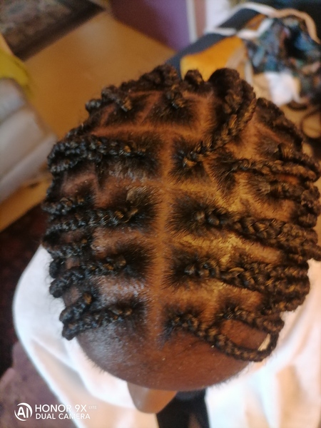 salon de coiffure afro tresse tresses box braids crochet braids vanilles tissages paris 75 77 78 91 92 93 94 95 THAOEMFF