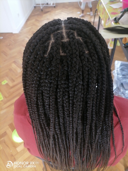 salon de coiffure afro tresse tresses box braids crochet braids vanilles tissages paris 75 77 78 91 92 93 94 95 BVFZEIJH