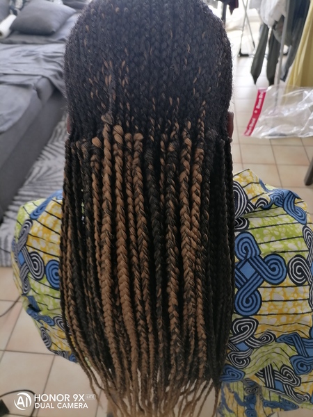 salon de coiffure afro tresse tresses box braids crochet braids vanilles tissages paris 75 77 78 91 92 93 94 95 EKZBJLCU