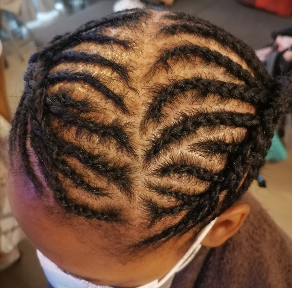 salon de coiffure afro tresse tresses box braids crochet braids vanilles tissages paris 75 77 78 91 92 93 94 95 KDCWSELI