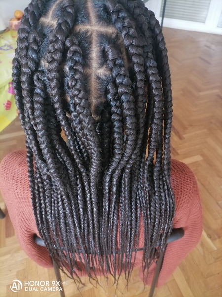 salon de coiffure afro tresse tresses box braids crochet braids vanilles tissages paris 75 77 78 91 92 93 94 95 UMEQFBPM