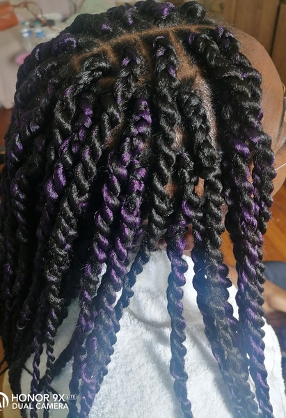 salon de coiffure afro tresse tresses box braids crochet braids vanilles tissages paris 75 77 78 91 92 93 94 95 BHHHOFSQ