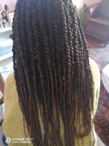 salon de coiffure afro tresse tresses box braids crochet braids vanilles tissages paris 75 77 78 91 92 93 94 95 EKCPPURP