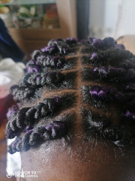 salon de coiffure afro tresse tresses box braids crochet braids vanilles tissages paris 75 77 78 91 92 93 94 95 TMZVRVST