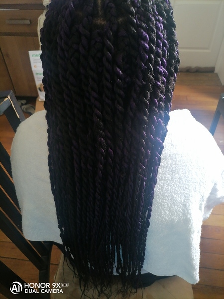 salon de coiffure afro tresse tresses box braids crochet braids vanilles tissages paris 75 77 78 91 92 93 94 95 PHXUMDSD