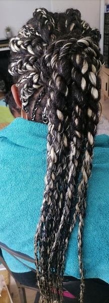 salon de coiffure afro tresse tresses box braids crochet braids vanilles tissages paris 75 77 78 91 92 93 94 95 VGVUOKEO