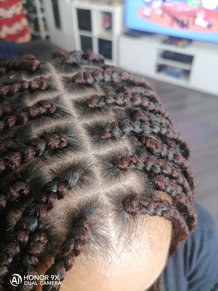 salon de coiffure afro tresse tresses box braids crochet braids vanilles tissages paris 75 77 78 91 92 93 94 95 QRHTNION