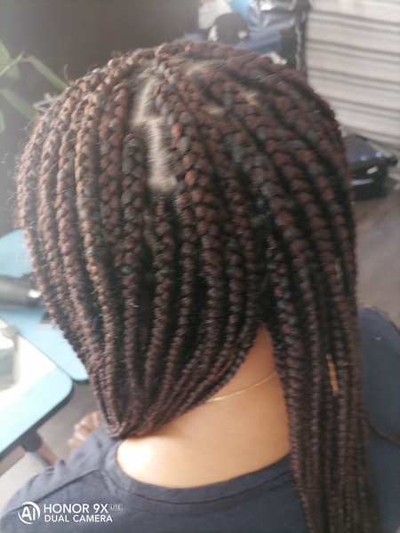 salon de coiffure afro tresse tresses box braids crochet braids vanilles tissages paris 75 77 78 91 92 93 94 95 XFRKVXZR