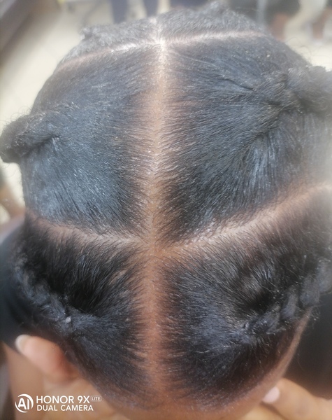 salon de coiffure afro tresse tresses box braids crochet braids vanilles tissages paris 75 77 78 91 92 93 94 95 IKZSZRTU