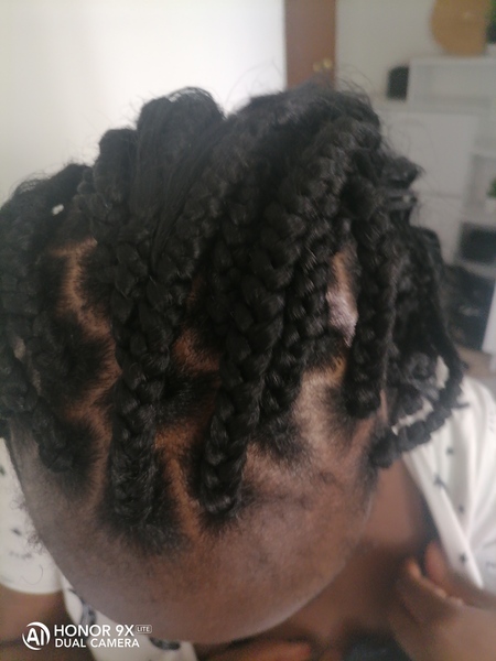 salon de coiffure afro tresse tresses box braids crochet braids vanilles tissages paris 75 77 78 91 92 93 94 95 PZICHGBV