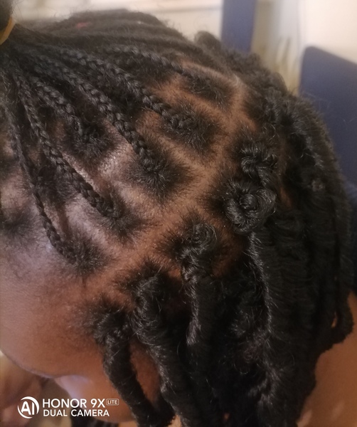 salon de coiffure afro tresse tresses box braids crochet braids vanilles tissages paris 75 77 78 91 92 93 94 95 TDYMJRAO
