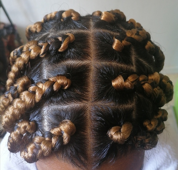 salon de coiffure afro tresse tresses box braids crochet braids vanilles tissages paris 75 77 78 91 92 93 94 95 BKBNMDZW