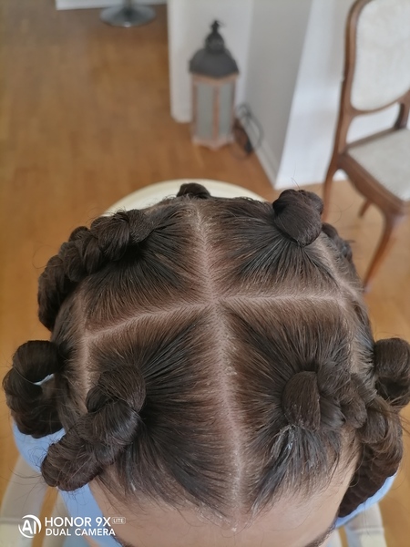 salon de coiffure afro tresse tresses box braids crochet braids vanilles tissages paris 75 77 78 91 92 93 94 95 LLFIBZBI