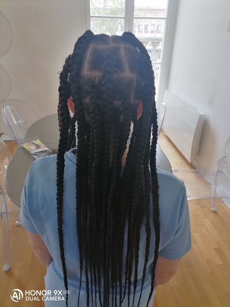 salon de coiffure afro tresse tresses box braids crochet braids vanilles tissages paris 75 77 78 91 92 93 94 95 FVAKFVFW