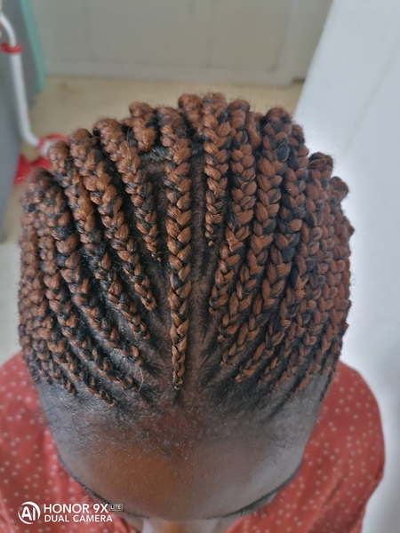salon de coiffure afro tresse tresses box braids crochet braids vanilles tissages paris 75 77 78 91 92 93 94 95 FCTBRVLN