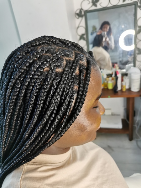 salon de coiffure afro tresse tresses box braids crochet braids vanilles tissages paris 75 77 78 91 92 93 94 95 NMYPANBP