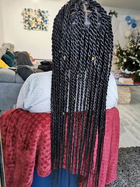 salon de coiffure afro tresse tresses box braids crochet braids vanilles tissages paris 75 77 78 91 92 93 94 95 IREITNSC