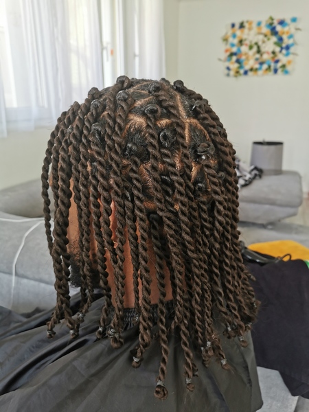 salon de coiffure afro tresse tresses box braids crochet braids vanilles tissages paris 75 77 78 91 92 93 94 95 XDXEHMIF