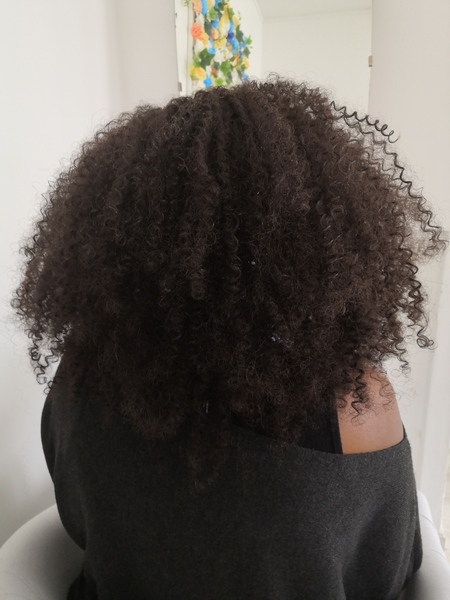 salon de coiffure afro tresse tresses box braids crochet braids vanilles tissages paris 75 77 78 91 92 93 94 95 GQZCKFHV