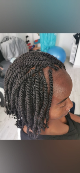 salon de coiffure afro tresse tresses box braids crochet braids vanilles tissages paris 75 77 78 91 92 93 94 95 CEDOEMJJ