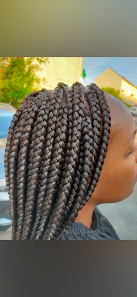 salon de coiffure afro tresse tresses box braids crochet braids vanilles tissages paris 75 77 78 91 92 93 94 95 SZYCMCSP