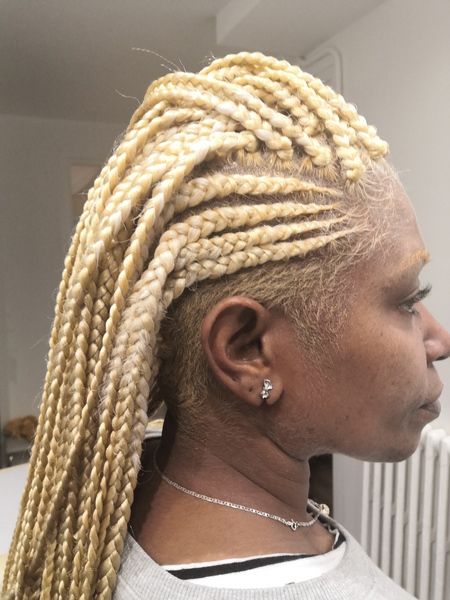 salon de coiffure afro tresse tresses box braids crochet braids vanilles tissages paris 75 77 78 91 92 93 94 95 IVJVWLML