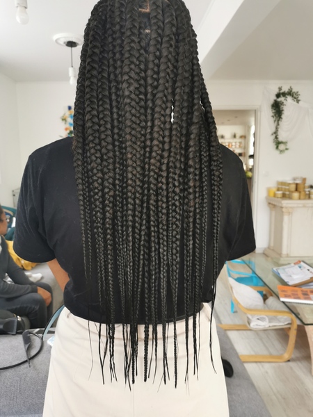 salon de coiffure afro tresse tresses box braids crochet braids vanilles tissages paris 75 77 78 91 92 93 94 95 DUCKYPXP